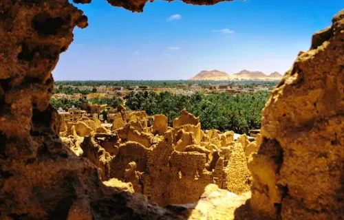 Oasi di Bahariya tra palme e sorgenti naturali | Tour Deserto Bianco Egitto e Cairo